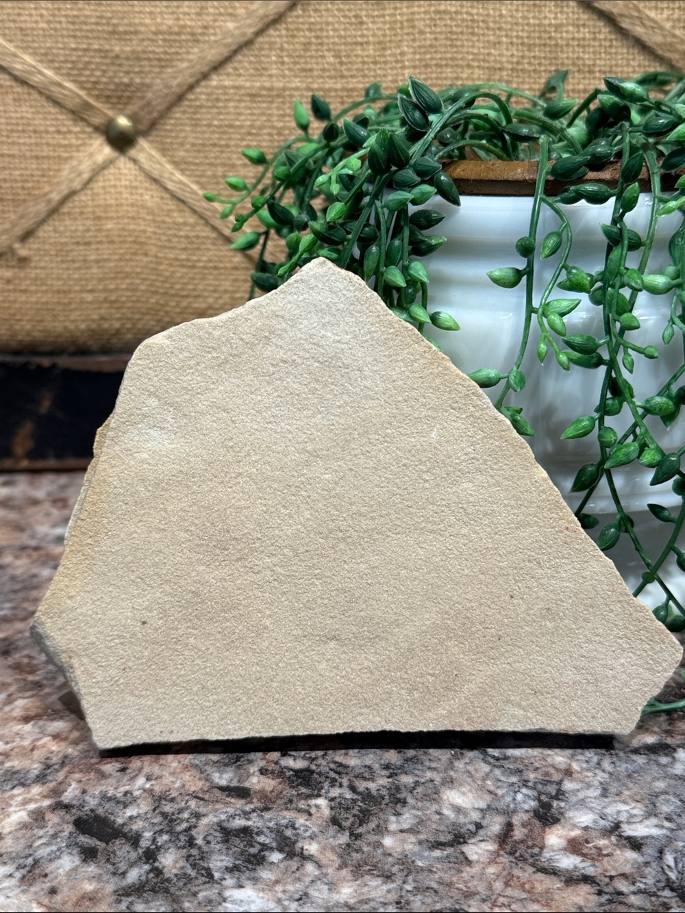 Howling Wolf Desert Stone Art - Rustic Orange and Black - Picture 4 of 4